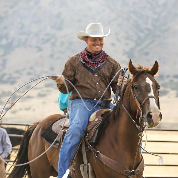 ⚡Men A-Gray Red Necktie 27.5 Inches Cowboy Scarves Pocket Square Silk Bandanas - Picture 4 of 8